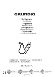 Grundig