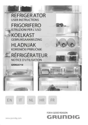 Grundig