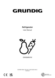 Grundig