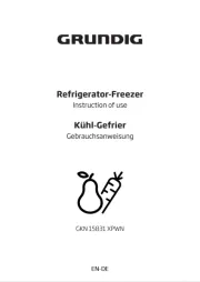 Grundig