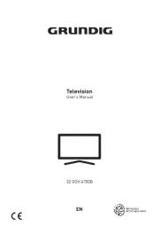 Grundig