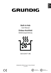 Grundig