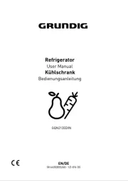 Grundig