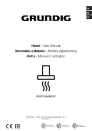 Grundig