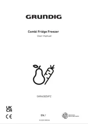 Grundig