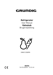 Grundig