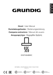 Grundig