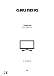 Grundig