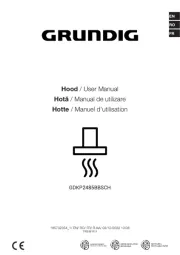 Grundig