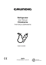 Grundig