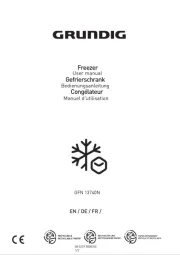 Grundig