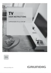 Grundig