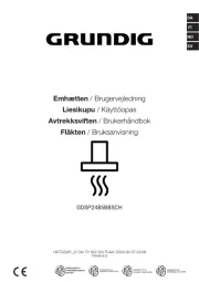 Grundig
