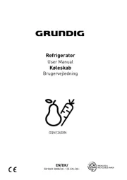 Grundig
