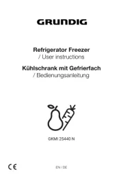 Grundig