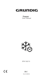 Grundig