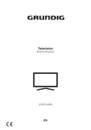 Grundig