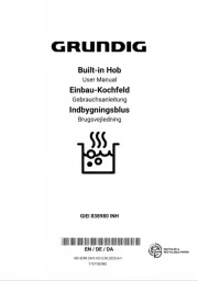 Grundig
