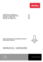 Amica