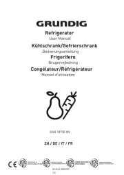 Grundig