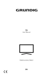 Grundig