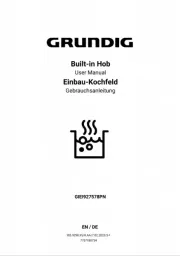 Grundig