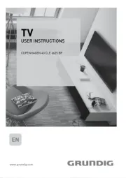 Grundig