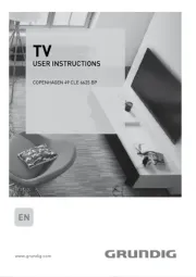 Grundig