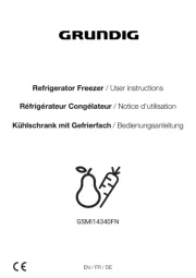 Grundig