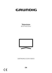 Grundig