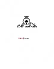 Black Lion Audio