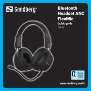 Sandberg