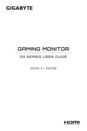 Gigabyte
