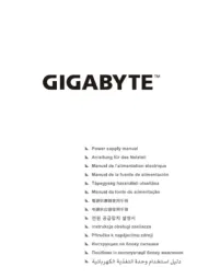 Gigabyte