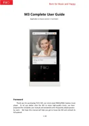 FiiO