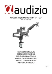 Audizio