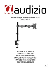 Audizio