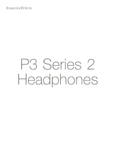 Bowers & Wilkins