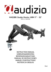 Audizio