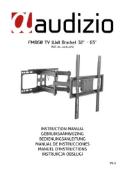 Audizio