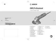 Bosch