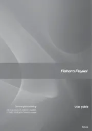 Fisher & Paykel