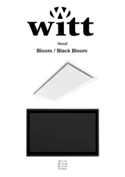 Witt