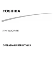Toshiba
