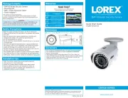 Lorex