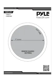 Pyle