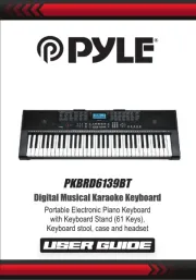 Pyle