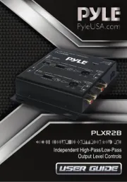 Pyle