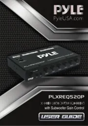 Pyle