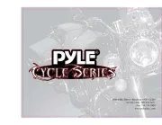 Pyle